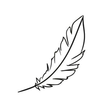 Feather Clipart, Feather Outline, Feather Drawing, Feather Tattoo Design, Outline Images, Feather Painting, Feather Tattoo, Clipart Black And White, Texture Art