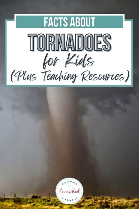 Explore some tornado facts for kids and learn about this extreme weather phenomonon. Use our resources to teach kids about tornadoes. Tornado Science, Weather For Kids, Science Printables, Life Cycles Activities, Coloring Worksheet, Extreme Weather Events, Facts For Kids, Bible Lessons For Kids, Easy Science