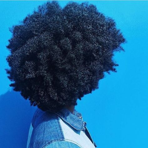 Nappy Hair, Type 4 Hair, Afro Textured Hair, Beautiful Natural Hair, Pelo Afro, 4c Natural Hair, Natural Hair Beauty, Coily Hair, I'm Fine