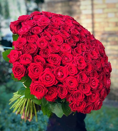 60 Roses Bouquet, 50 Red Roses Bouquet, 100 Roses Bouquet Birthday, Red Roses Bouquet Gift Birthday, Red Roses Bouquet Gift, 100 Red Roses Bouquet, 100 Rose Bouquet, 50 Roses Bouquet, 100 Roses Bouquet