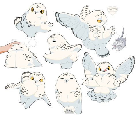 Snowy Owls, Regnul Animal, Creature Drawings, Mythical Creatures Art, Dessin Adorable, Creature Concept Art, Animal Sketches, Arte Animal, Different Kinds