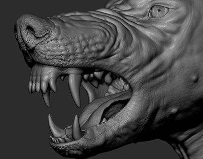 Zbrush Animals, Wolf Anatomy, Wolf Sculpture, Wolf 3d, Dog Anatomy, Wolf Photos, Jurassic World Dinosaurs, Dire Wolf, Art Folder