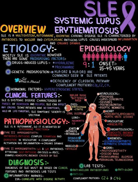 Human Health And Disease Notes, Disease Notes, Human Health And Disease, What Is Intelligence, Learn Biology, Nursing School Essential, Medical School Life, Brain Anatomy, Nursing School Survival