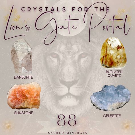 Lions Gate Crystals, High Frequency Energy, Astrology Magic, Lions Gate, Crystal Grids, Sacramento California, High Vibes, Crystal Meanings, Stone Collection