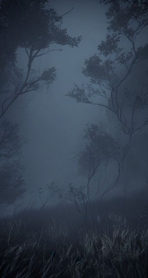 Dark Ambient Aesthetic Wallpaper, Ominous Wallpaper, Dark Ambient Wallpaper, Dark Ambient Aesthetic, Rainy Forest Wallpaper, Stormy Wallpaper, Blue Forest Wallpaper, Foggy Wallpaper, Dark Forest Wallpaper