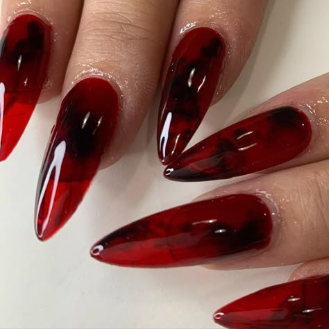 Really Hot Nails ™️ on Instagram: "Red jelly tortious shell on @antigirlb0ss" Red Jelly Nails, Gothic Nail Designs, Stilleto Nails Designs, Sharp Claws, Nail Designs Ideas, Fantasy Nails, Red Jelly, Gothic Nails, Goth Nails