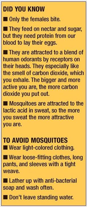 Mosquito Facts & How To Avoid Mosquitoes Flea Control, Ticks, Toledo, Bugs, Did You Know, Magnets, Science, Pins, Quick Saves