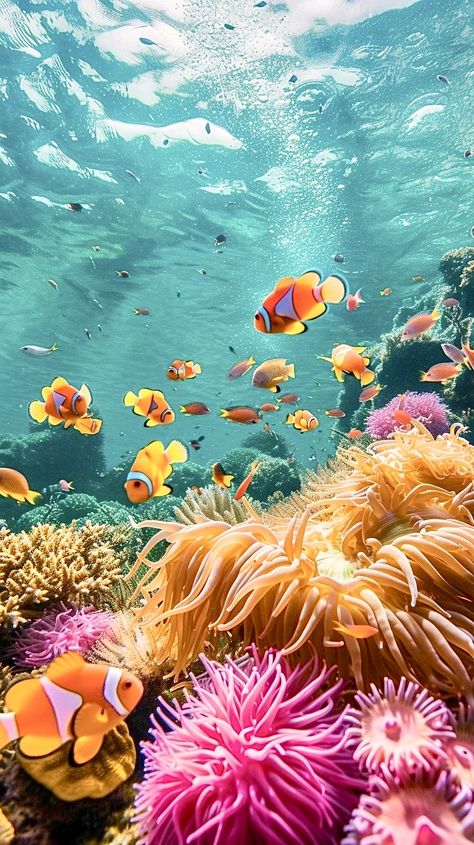 Underwater Ocean Wallpaper, Under Sea Photography, Underwater Photography Nature, Coral Reef Images, Coral Reef Photography Landscape, Underwater Life Photography, Coral Reef Aesthetic, Underwater Reference, Coral Landscape