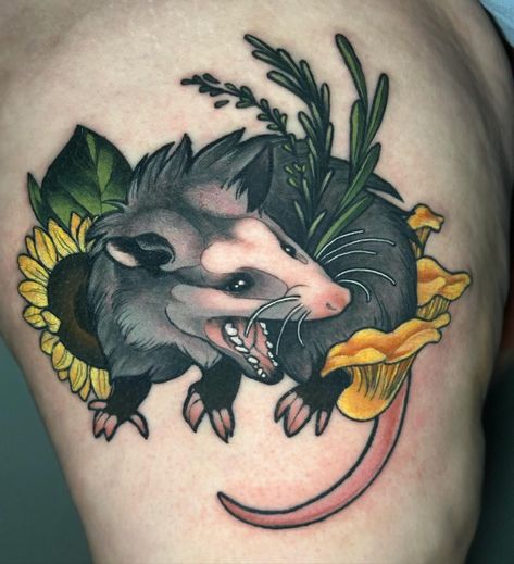 Selah Davenport | It has been ✨ way too long ✨ since I’ve done a possum tattoo 😢 . Sooo happy how this little friend turned out! Thanks a million to Elena… | Instagram Possum Photography, Chanterelle Tattoo, Possum Tattoo Simple, Herbs Tattoo, Opossum Drawing, Possum Drawing, Skunk Tattoo, Possum Tattoo, Opossum Tattoo