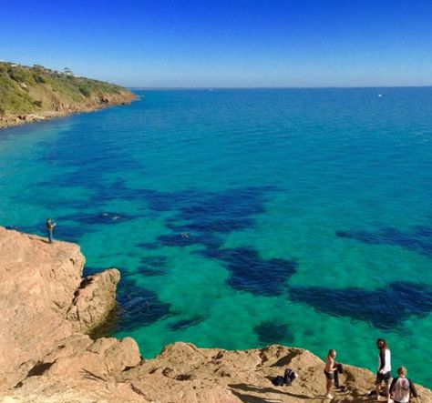 Turquoise waters at the Pillars, Mount Martha. Mornington Peninsula, Victoria, Australia. Photo: BeachMatt Sunny Autumn Day, Mount Martha, Sunny Autumn, Mornington Peninsula, Rock Pools, Incredible Places, Like Instagram, Turquoise Water, Crystal Clear Water