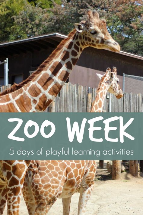 Tiger Craft, Zoo Lessons, Zoo Animal Activities, Preschool Zoo Theme, Zoo Preschool, Zoo Crafts, Daycare Themes, Learning Activities For Kids, Zoo Activities