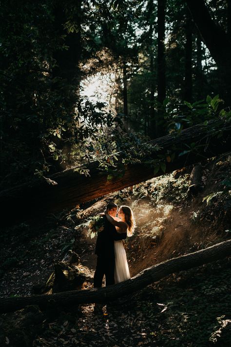 Couple In A Forest Aesthetic, Romantic Forest Aesthetic, Romantic Forest Photoshoot, Dark Forest Elopement, Enchanted Forest Elopement, Forest Pre Wedding Photoshoot, Wedding Forest Photography, Forest Elopement Dress, Enchanted Forest Photoshoot Couple