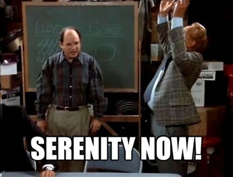 Frank Costanza - "SERENITY NOW!"   Don't forget... it's all insanity later. Seinfeld Episodes, Seinfeld Funny, Seinfeld Quotes, Classic Quotes, Serenity Now, Seinfeld, Top Gear, Best Tv Shows, Best Shows Ever