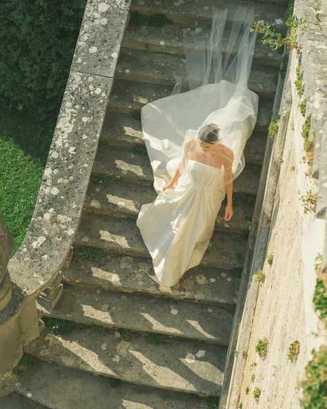 — Understated beauty bouquet ~ ethereal Samantha with her long Calla Lily stem: a minimal choice in juxtaposition to the grandeur of the location, La Foce, perfectly paired with @khyeliofficial gown With @allthingsbeautifulweddings Photo @ladichosa Featured on @nlvogue // @samantha_m_shorter & @jaymtown’s wedding executed by @allthingsbeautifulweddings & captured by @ladichosa at @lafoce with florals by @marypoppies Catering @galateoricevimenti rentals @preludiodivisionenoleggio stati... Calla Lillies Wedding, Beauty Bouquet, Calla Lily, Lily, Wedding Dress, Collage, Pins, Beauty, Quick Saves