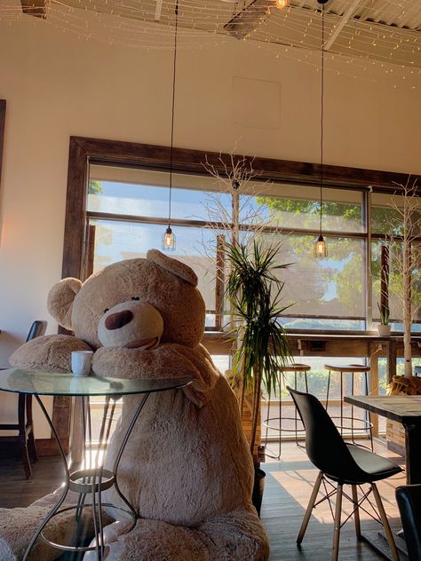 Teddy Bear Aesthetic, Bears Stuffed Animals, Coffee Plants, Fluffy Teddy Bear, Giant Stuffed Animals, Teddy Bear Day, Stuffed Bears, Room Children, Big Teddy