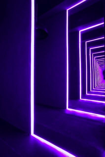 Neon Violet, Purple Lights Aesthetic, Purple Neon Lights, Purple Light Aesthetic, Purple Lights, Purple Neon, Purple Light, Neon Purple Aesthetic, Purple Lighting