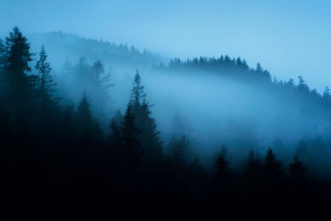 Blue Mist 3 | Atrmospherics Dark Blue Forest Aesthetic, Blue Mist Aesthetic, Blue Landscape Aesthetic, Laptop Blue Wallpaper, Blue Cottagecore, 4k Desktop Wallpapers, Blue Aesthetic Dark, Forest Aesthetic, Dark Blue Wallpaper