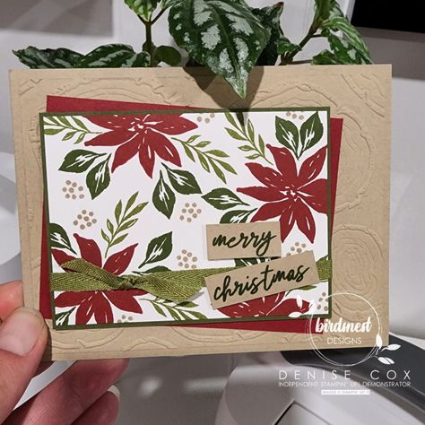 Ringed With Nature Christmas Cards, Ringed With Nature Stampin Up Cards, Stampin Up Ringed With Nature, Ringed With Nature, Christmas Hanging Baskets, Craft Nook, Nature Christmas, Traditional Christmas Cards, Dsp Cards