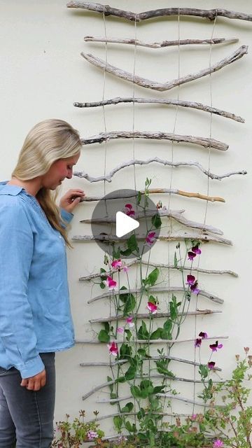 Tanya Anderson 🌿 Lovely Greens on Instagram: "All the materials you need to make this plant trellis are sticks (we used driftwood), string, and six screws. It's now over a year old and looks amazing covered with sweet peas!

👉 Comment trellis and I'll send the DIY video to you

#gardening #diygarden #gardener #gardenproject #trellis #cottagegarden #cottagecore" Diy Plant Trellis, Lovely Greens, Diy Garden Trellis, Plant Trellis, Outdoor Trellis, Diy Trellis, Balcony Plants, Trellis Plants, Fruit Flowers