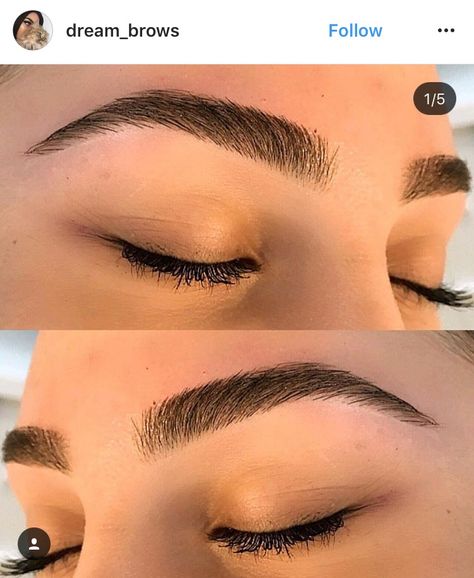 Indian Women Eyebrows, Soft Curved Eyebrows, Arched Eyebrows Aesthetic, Eyebrows Shaping Waxing Brows, Eyebrow Inspiration Natural, Eyebrow Shape Ideas, Eyebrow Goals Natural, Great Eyebrows, Brow Inspo Natural