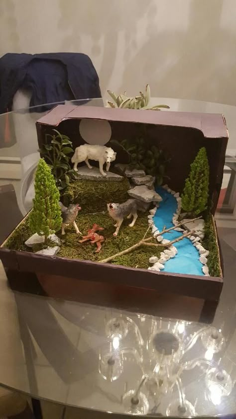 Wolves project Giraffe Diorama Project, School Project Animal Habitat, Diarama Ideas Nature, Grassland Biome Shoebox Project, Diy Animal Habitat Project, Grassland Habitat Diorama, Shoebox Animal Habitat Project, Elephant Habitat Project For Kids, Tiger Habitat Project For Kids