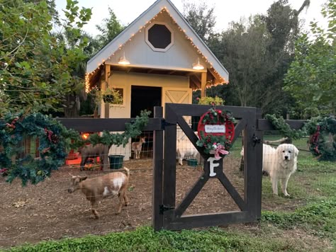 Cottage Goat House, Cute Goat Enclosures, Cute Goat Shed, Great Pyrenees Dog House, Livestock Guardian Dog Shelter, Livestock Guardian Dog House, Goat And Chicken Barn Layout, Goat Farm Aesthetic, Goat Homes Ideas