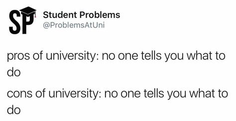 . College Life Humor, University Memes, College Problems, Studying Memes, College Memes, College Quotes, Student Problems, School Funny, Student Humor