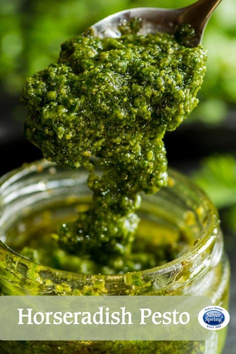 Horseradish Root Recipes, Radish Pesto, Wasabi Recipes, Homemade Horseradish, Mashed Potato Patties, Horseradish Recipes, Sauce Pesto, Basil Pesto Recipes, Kale Pesto