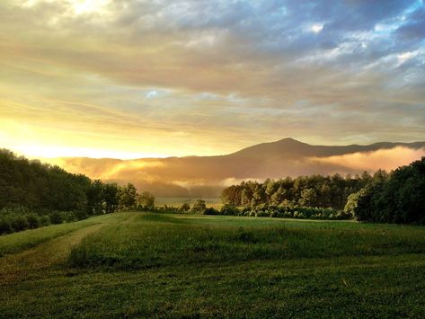 The Rocky Top Trail is located in Tennessee, and it's one of the best spots to visit in Cades Cove if you're looking to go on a hike filled with gorgeous views and natural vistas. Camping In Tennessee, Southern Road Trips, Cades Cove Tennessee, Rocky Top, Cades Cove, Great Smoky Mountains National Park, East Tennessee, Smoky Mountain National Park, Best Places To Live