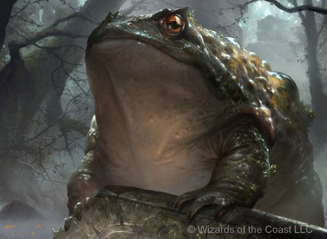 Magic The Gathering Guardian Toad   http://jackwanglei.deviantart.com/  #Jackwanglei #thebrushtool #digitalart #cg Giant Sloth, Frog Illustration, Dragon Rpg, Dnd Monsters, Frog Art, Dnd Art, Fantasy Monster, Arte Fantasy, Animal Companions