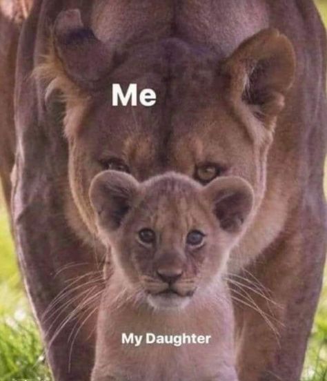 Lioness And Cubs, Bear Quote, My Children Quotes, Mothers Love Quotes, Mommy Quotes, King Quotes, Momma Bear, Mom Life Quotes, Career Transition