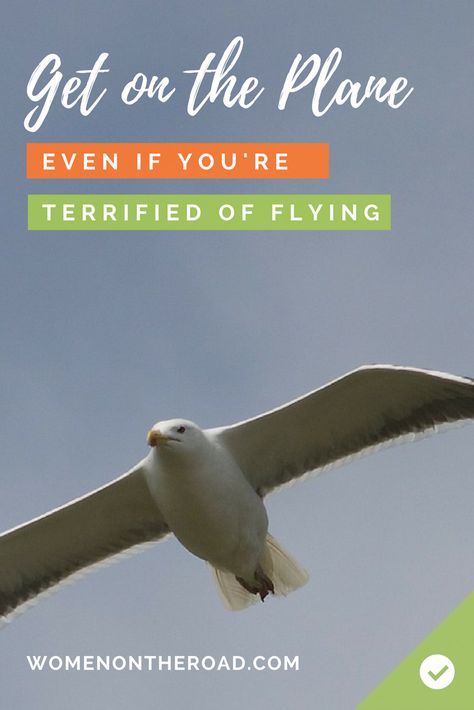 Are You Secretly Scared of Flying? Fear of flying Scared Of Flying, Flying Tips, Senior Travel, Travel Thoughts, Fly Safe, Fly Quotes, Vein Thrombosis, On An Airplane, Flying Lessons