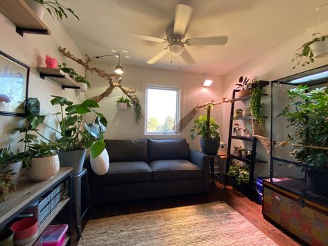 Reptile Setup, Snake Room, Chameleon Enclosure, Homemade Bird Toys, Snake Terrarium, Budgie Bird, Gecko Terrarium, Animal Enclosures, Fish Tank Themes