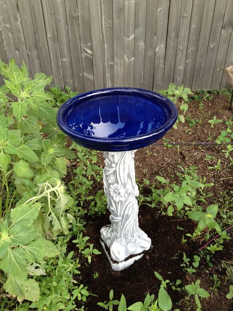 Homemade bird bath! Beautiful! Bird Baths Homemade, Diy Bird Bath, Diy Swimming Pool, Bird Bath Garden, Tea Diy, Diy Birds, Easter Basket Diy, Glass Garden Art, Glass Garden