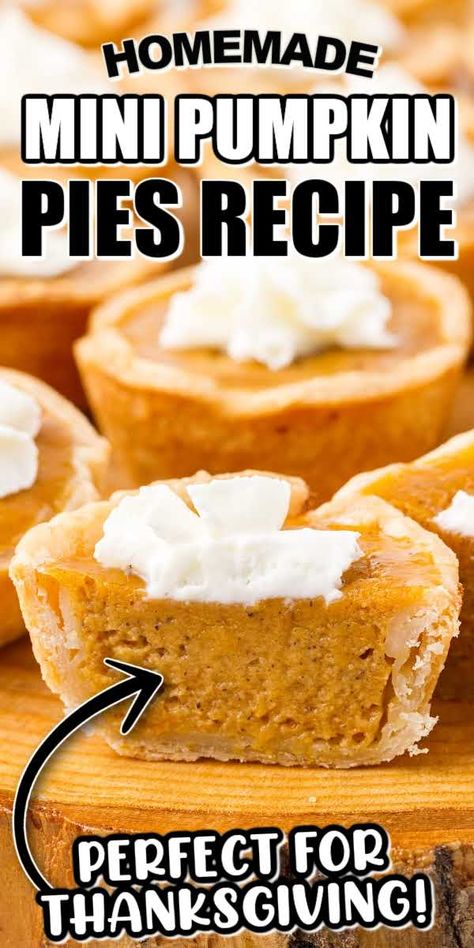 Small Batch Mini Pumpkin Pies, Mini Marshmallow Pumpkin Pies, Miniature Pumpkin Pie, Pillsbury Mini Pumpkin Pies, Mini Pumpkin Desserts Easy, Mini Pumpkin Cheesecake Pies, Homemade Mini Pumpkin Pies, Mini Pumpkin Pie Recipe Easy, Bite Size Pumpkin Pie