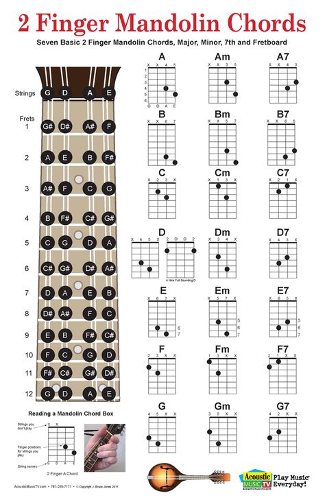 Acoustic Music TV: 2 Finger Mandolin Chord Poster and Chart, Includes Fret Board Akordy Na Ukulele, Mandolin Lessons, Bass Guitar Chords, Learning Ukulele, Ukulele Chords Chart, Cool Ukulele, Online Guitar Lessons, Kari Jobe, Ukulele Music