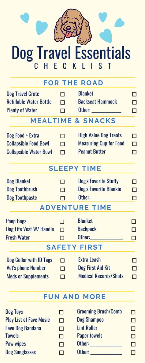 What do you pack for a road trip with your dog? We've broken this list down by activity so you'll have a complete list of everything you need when traveling with your dog. Dog Holiday Packing List, Beach Trip With Dog, Dog Vacation Packing List, Dog Travel Bag Essentials, Puppy Travel Bag Packing Lists, Traveling With A Dog Road Trips, Travel Packing Ideas Road Trips, Dog Travel Packing List, Traveling With Your Dog