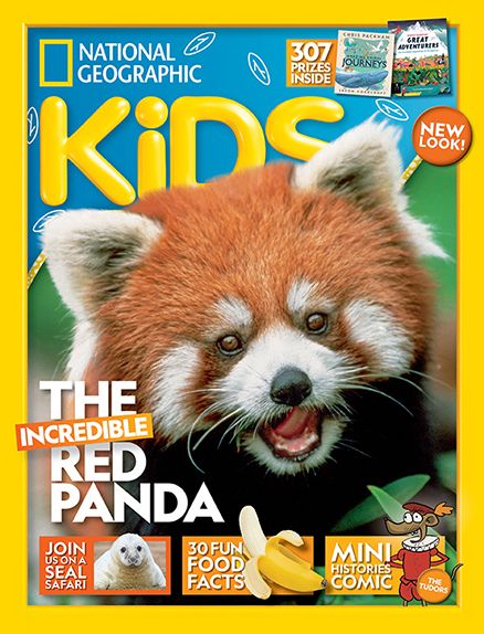 National Geographic KiDs brings children their own version of National Geographic for a true walk on the wild side! Filled with animals, nature and heaps of fun, a National Geographic KiDs magazine subscription offers inspiration for creepy crawly craft projects and a closer look at exotic creatures and places around the globe. Bring the great outdoors inside and under your child’s nose with a National Geographic KiDs magazine subscription!  #kidsmagazine #natgeo #wellness #eco #environment Cool Pictures Of Animals, National Geographic Kids Magazine, Spider Fact, Animal Magazines, Kids Magazine, Eco Kids, National Geographic Kids, National Geographic Magazine, Cool Magazine