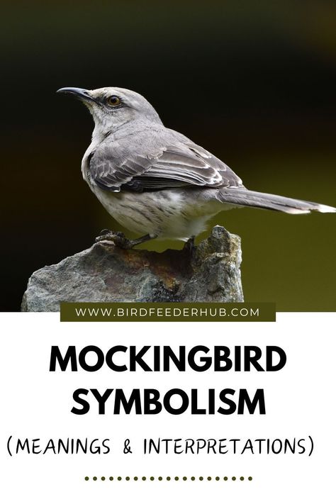 Dive into the world of mockingbird symbolism, from dreams to tattoos, totems to spiritual significance. Get a closer look at the varied meanings and interpretations of the territorial behaviors and amazing mimicking abilities of these songbirds. Mockingbird Spiritual Meaning, Mockingbird Tattoo Men, Songbird Aesthetic, Mockingbird Meaning, Mockingbird Symbolism, Mockingbird Tattoo, Songbird Tattoo, Bird Facts, Stuck In Life