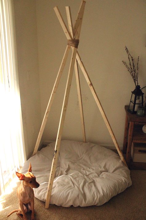 DIY 10 minute teepee for under $20! Diy Kids Teepee, Diy Teepee Tent, Diy Tipi, Dog Teepee, Diy Teepee, Teepee Kids, Kids Tents, Teepee Tent, Diy Dog Stuff