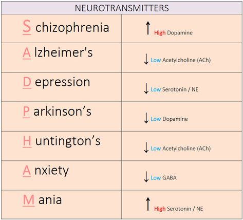 Types Of Neurotransmitters, Neuroscience And Psychology, Abnormal Psych Notes, Neurotransmitters Notes, Biological Psychology Notes, Neuroscience Books To Read, Eppp Study Guide, Neurotransmitters And Mental Health, Neuropsychologist Aesthetic