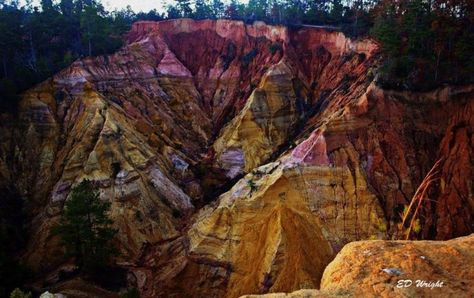 One of the state’s best kept secrets, Red Bluff (a.k.a. the Little Grand Canyon) is an amazing sight. Mississippi Blues, Mississippi Travel, Sky Lake, Learn Computer, Natchez Trace, Red Bluff, Bald Cypress, Computer Coding, Missouri River