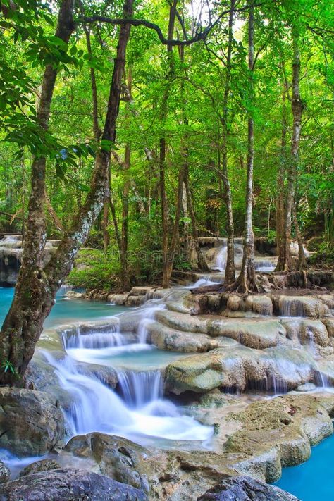 Erawan waterfall, Thailand stock photo. Image of relax - 43504700 Erawan Waterfall, Pool Plants, Spring Tree, Editorial Illustration, Blog Photo, Free Photos, Free Stock Photos, Free Images, Beautiful Nature