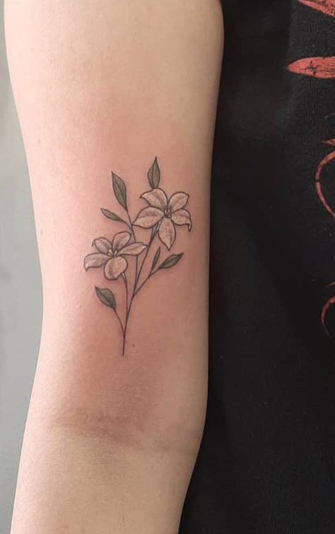 Jasmine Tattoo Design, White Jasmine Flower Tattoo, Jasmine Plant Tattoo, Indian Jasmine Flower Tattoo, Jasmine Flower Tattoo Minimalist, Fine Line Jasmine Flower Tattoo, Flower Tattoos Jasmine, Jasmine Flower Tattoo, Carnation Flower Tattoo