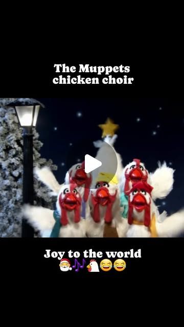 Hans Koehle on Instagram: "Wenn sie nicht gerade auf der Flucht vor unserem skandinavischen Chefkoch sind, geben die Muppet-Hühner einen tollen Chor ab - auch zu #weihnachten 🎅🎶🐔😂😂💫

#muppets #muppetshow #weihnachten #klassiker #nostalgie #humor #comedy #song" Comedy Song, Christmas Music, Holidays, Humor, Funny, Music, Christmas, On Instagram, Instagram