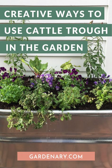 Creative Ways to Use Cattle Troughs in the Garden • Gardenary Cow Trough, Cattle Water Trough, Extra Large Outdoor Planters, Cattle Trough, Metal Trough Planter, Box Gardens, Plant Troughs, Garden Bed Plans, Feed Trough