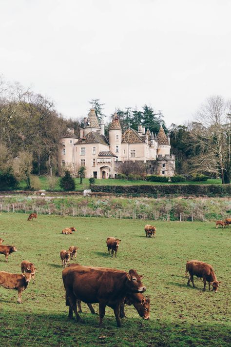 Chateau de Burnand, Burgundy France - French Countryside - RG Daily Blog Country France, French Countryside Cottage, French Winery, European Countryside, Old France, French Aesthetic Countryside, French Vineyard, Old French Aesthetic, European Countryside Aesthetic