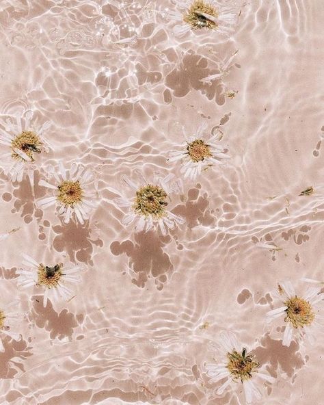 Tan Aesthetic Wallpaper, Tan Aesthetic, Aesthetic Wallpaper, Floating, Water, Flowers, Pink, Instagram