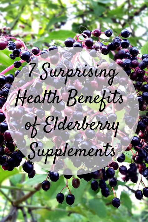 7 Surprising Health Benefits of Elderberry Supplements Benefits Of Elderberry Syrup, Elderberry Syrup Benefits, Elderberry Jelly Recipe, Elderberry Jelly, Benefits Of Elderberry, Elderflower Tea, Elderberry Benefits, Elderberry Tea, Elderberry Extract