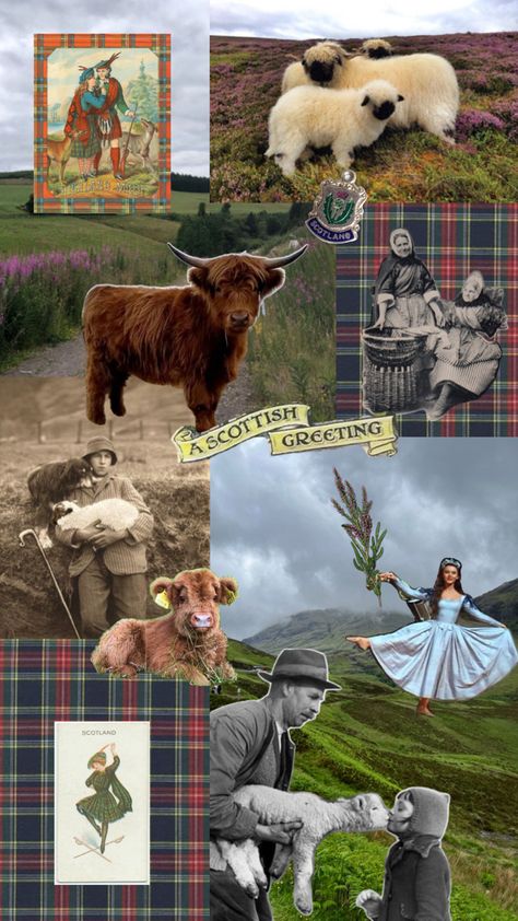 Scotland Foreverrr Scotland Moodboard, Scotland Astethic, Aesthetic Scotland, Scotland Iphone Wallpaper, Scotland Aesthetic Wallpaper, Scotland Wallpaper, Christmas Wallpaper, Beautiful Landscapes, Scotland